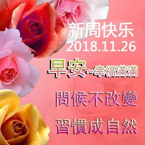 周一早上好问安图片表情动态星期一早安问日常白浅表情包图片