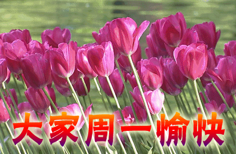 周一早上好问安表情包动态图片 星期一早安问候语图片
