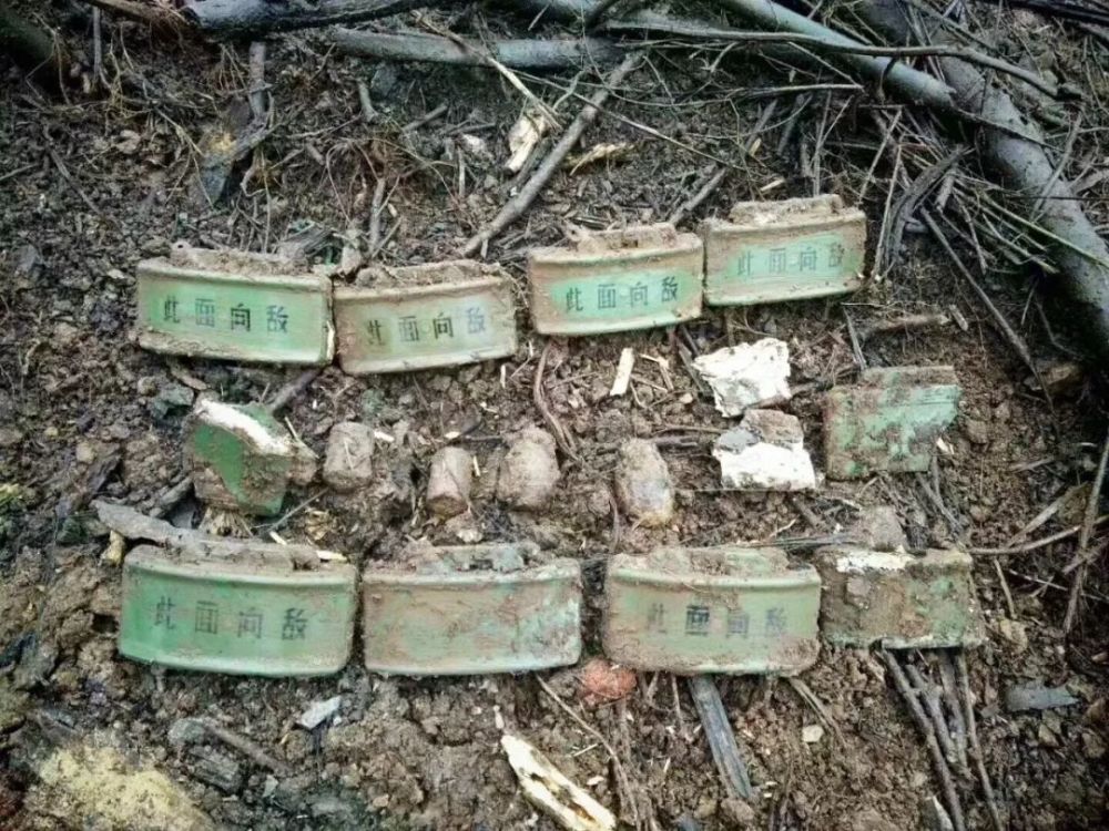 南部战区陆军云南扫雷大队官兵搜排出的部分地雷和爆炸物.黄巧 摄