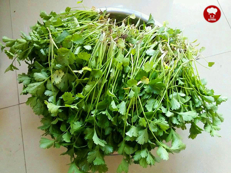 男人到底能不能吃香菜?壮肾还是杀精?医生叮