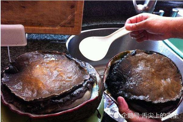 世界上最大的鲍鱼有多大?15个人吃了一晚上都