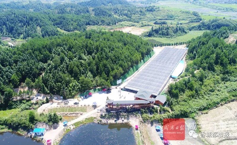 通山县(14个)