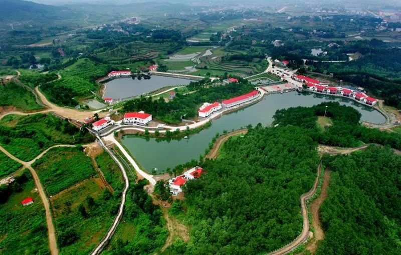 谷城石花镇经济总量排名_谷城经济开发区(3)