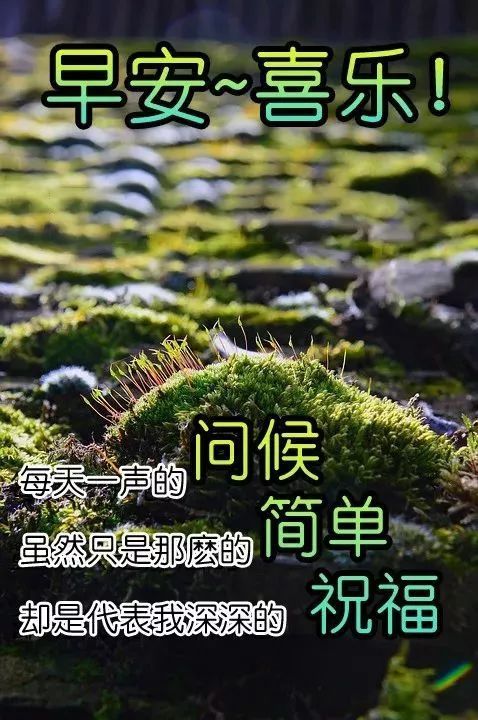 虎年正月廿四早上好问候语说说心情2022微信早安动态最火的图片大全