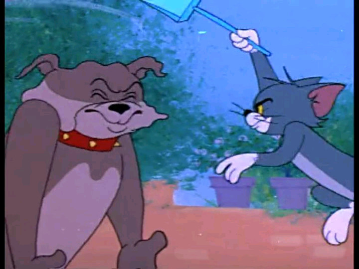 猫和老鼠:汤姆拍了斯派克一下,结果自己就被斯派克给收拾得更惨了!