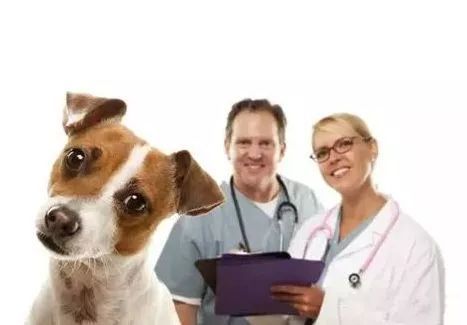 新西兰这些爆款专业,就业前景如何?