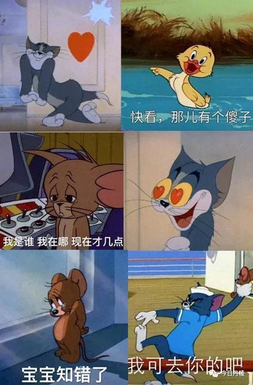 致敬《猫和老鼠》:年少只道是欢乐,再看已是画中人!