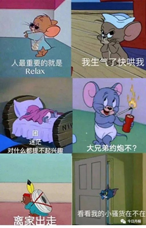 致敬《猫和老鼠》:年少只道是欢乐,再看已是画中人!