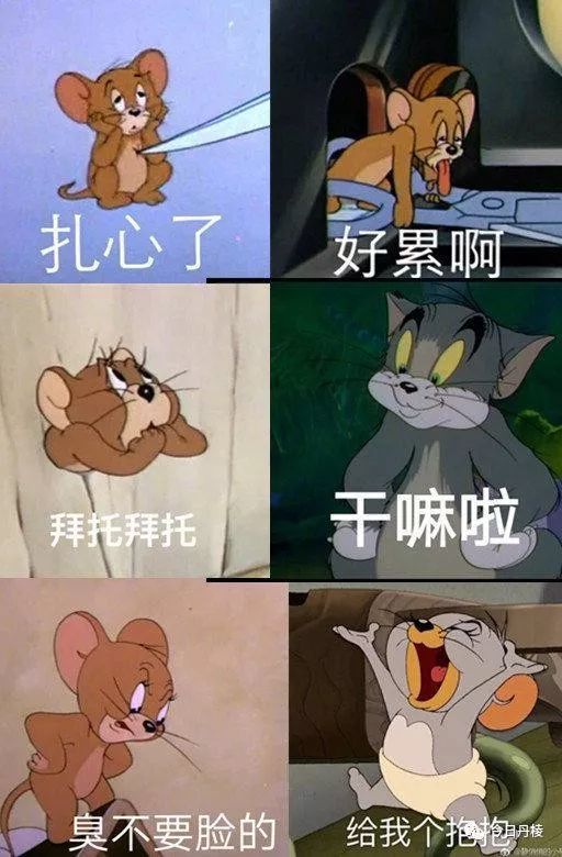 致敬《猫和老鼠》:年少只道是欢乐,再看已是画中人!