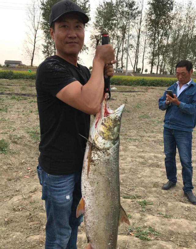 的掠食鱼—俗称"淡水鲨"的鱤鱼,江苏一些地方也称为黄箭鱼,管枪鱼