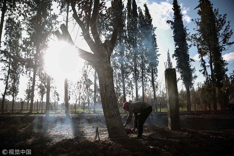 82岁婆婆投案自首称涉嫌滥伐林木罪?法官抽丝