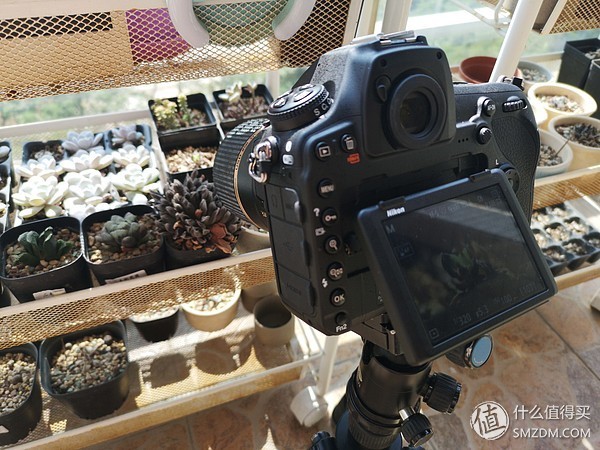 最强全画幅单反?尼康D850深度测评