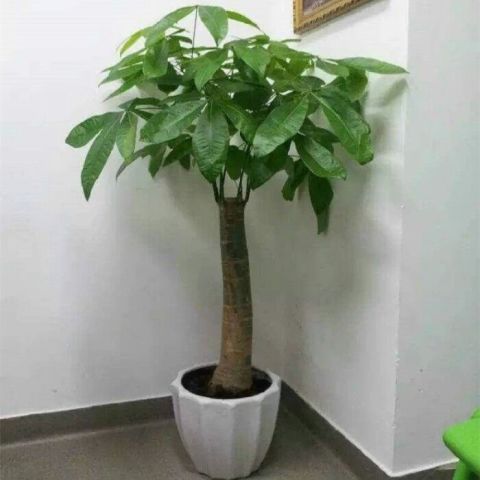 640