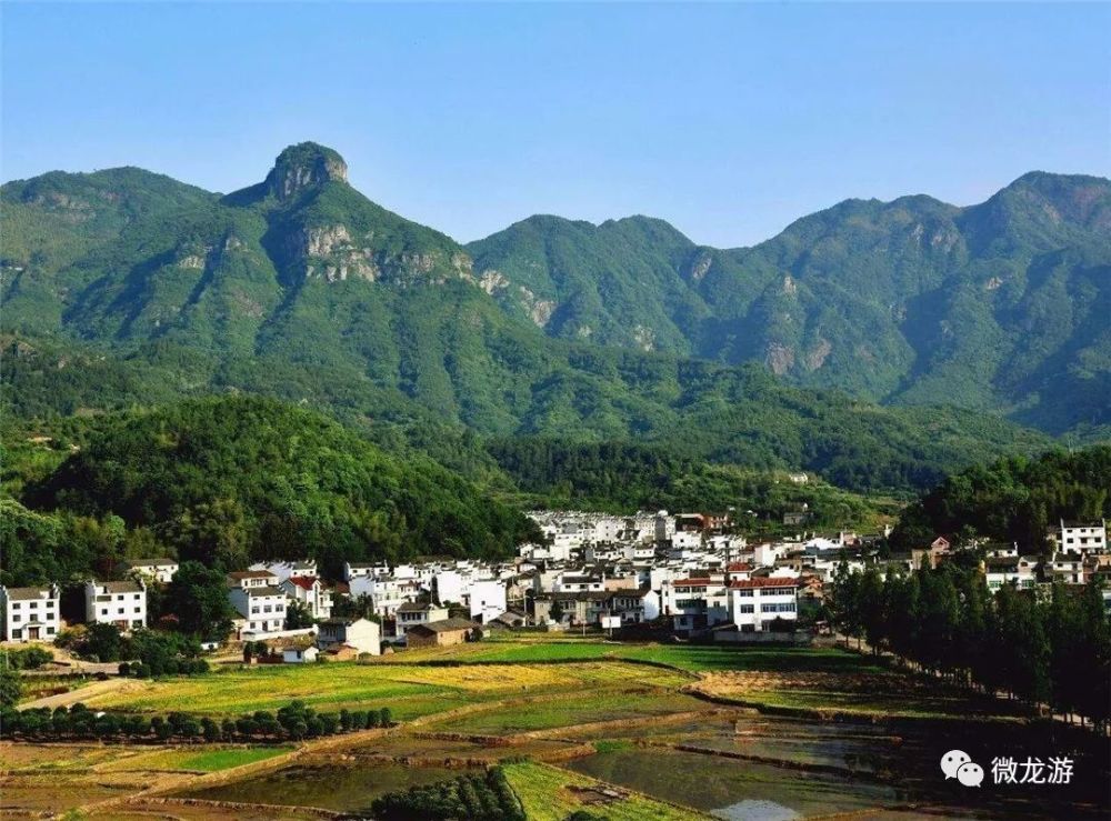 塔石镇舒村村 小南海镇双潭村 石佛乡杜山坞村 龙洲街道西门村 龙洲