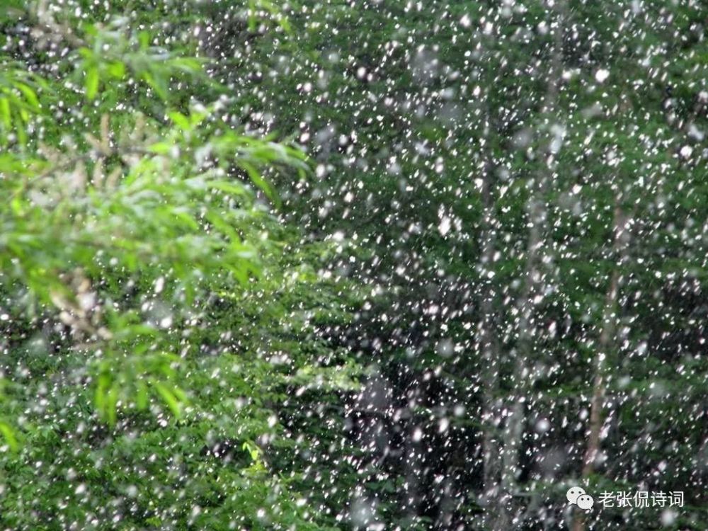 37岁苏轼写给填房妻子的宋词,一往情深,可媲美