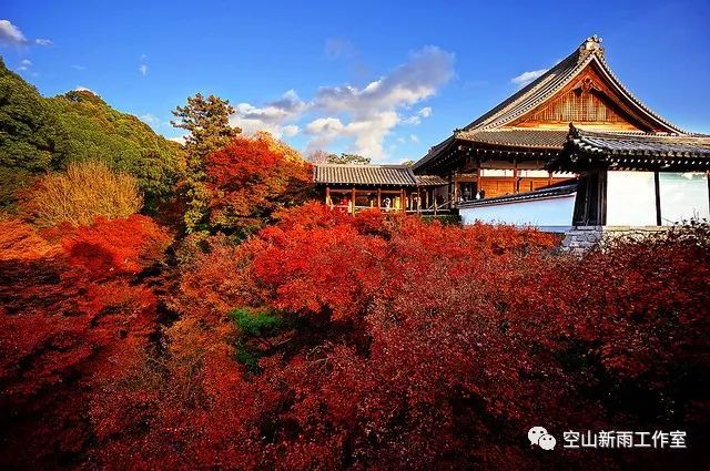 美到极致的京都枫叶