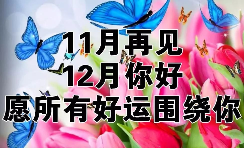 11月最后一天,为12月开一个好头!_腾讯新闻