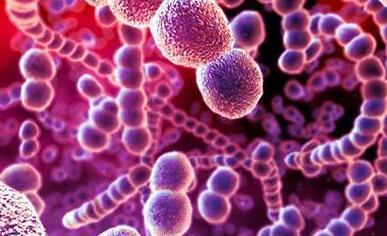 为何有人放屁特别臭,这些屁是吃进来的,还是