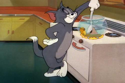 猫和老鼠汤姆竟然直接就用鱼缸炖金鱼还尝尝味道金鱼好喝吗