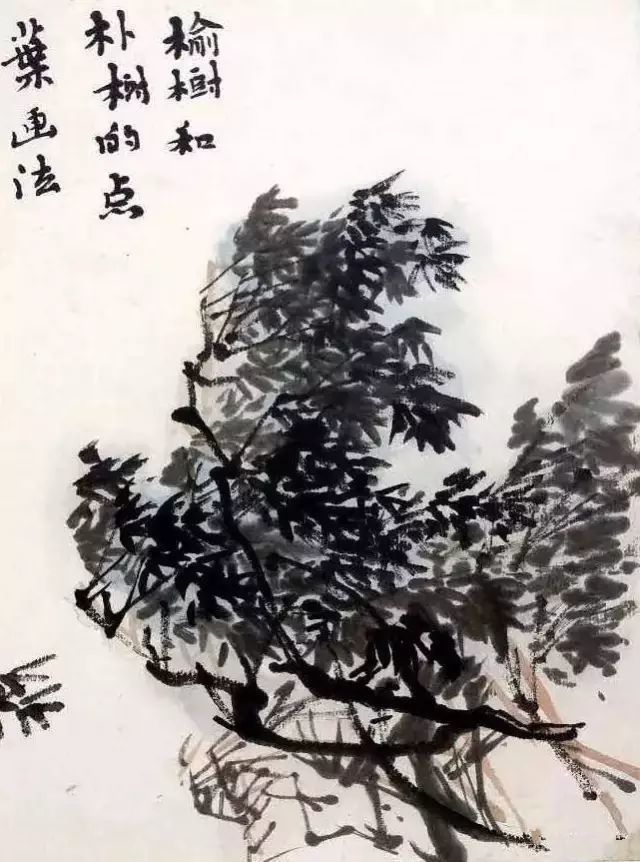 2,榆树的画法