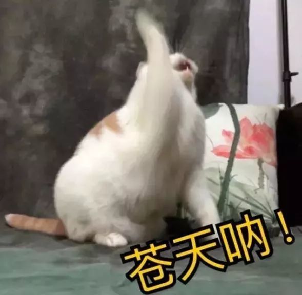 稳住不要慌