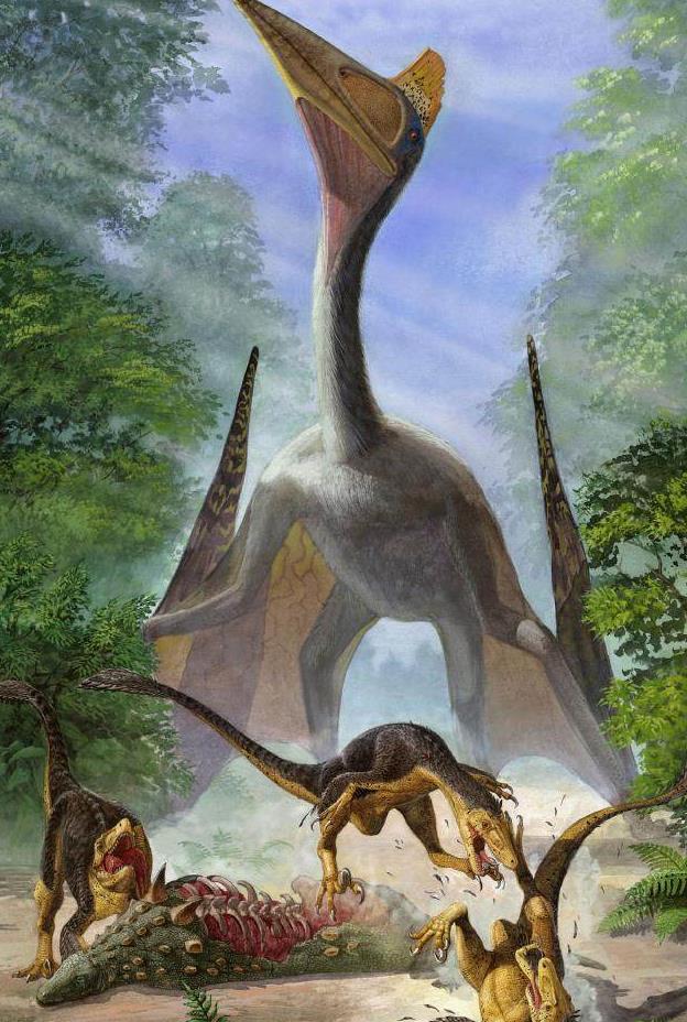 凶猛的巨大翼龙竟然以恐龙为食