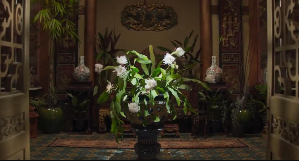 好莱坞大片《摘金奇缘》,用了好多歌后邓丽君