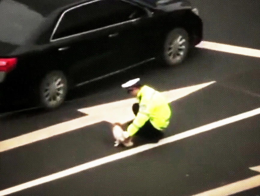 交警叔叔蹲在车流中,姿势怪异像腹痛,走近一看