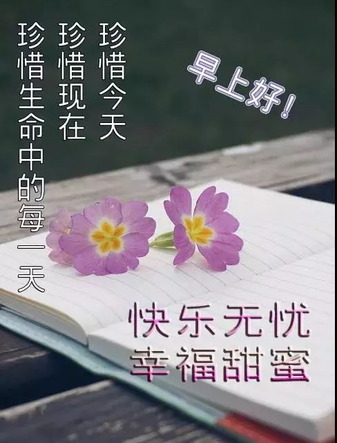 问候语简谱_早上好问候语图片(3)