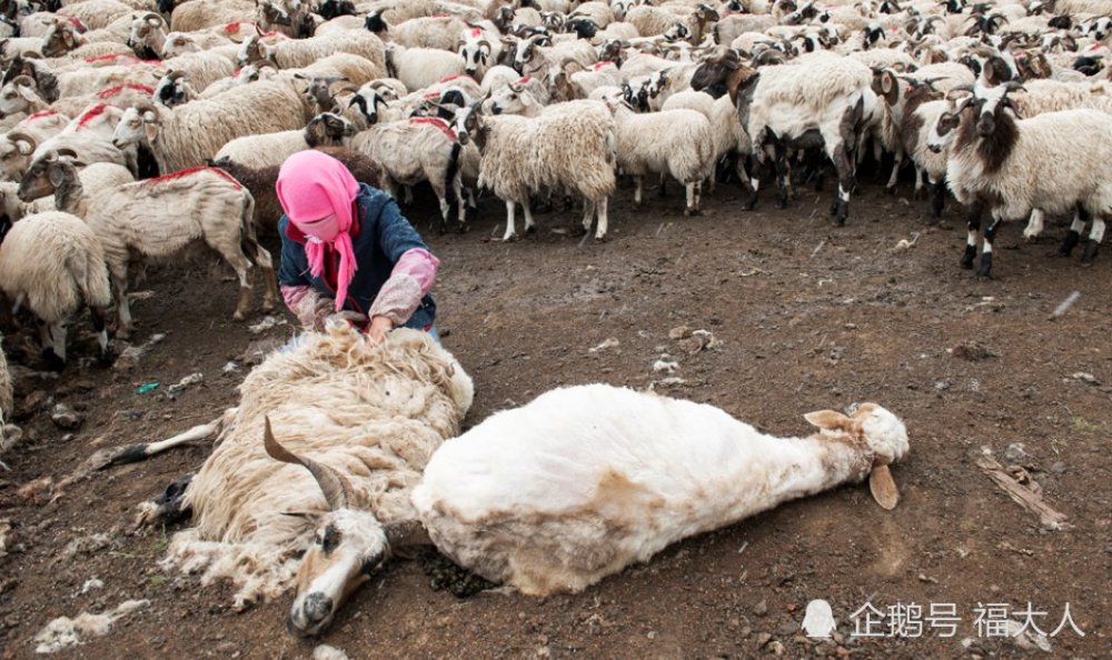 用影像纪录中国:越偏僻的地方越美丽