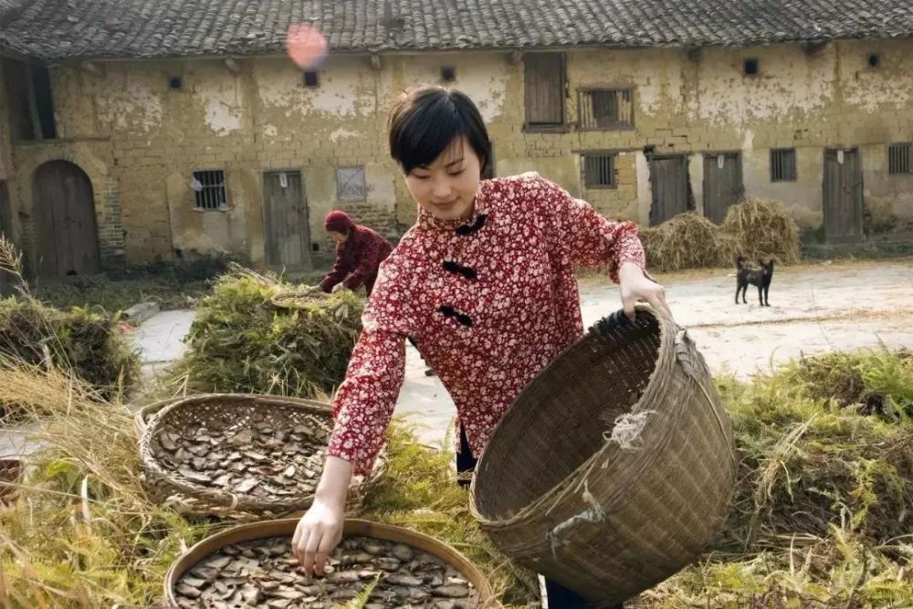 客家人真厉害,深圳原住民!第一批的深圳人!_腾讯新闻