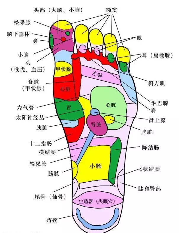 中医重视足部健康,西医亦然.