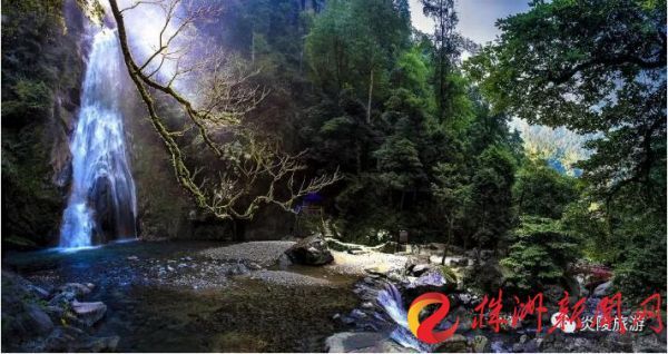 炎陵县城区有多少人口