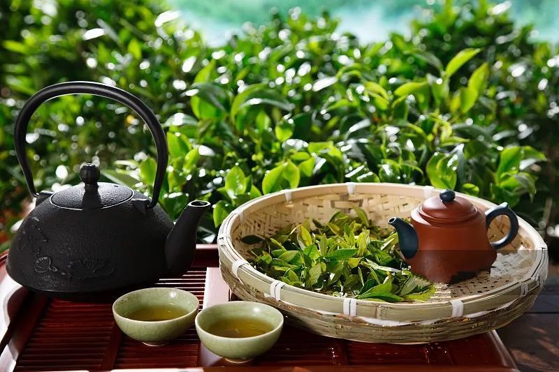 茶叶过了保质期,到底能不能喝?