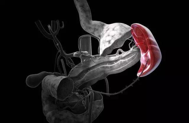 脾虚一身湿,出现4个湿毒表现,别犹豫,快用三