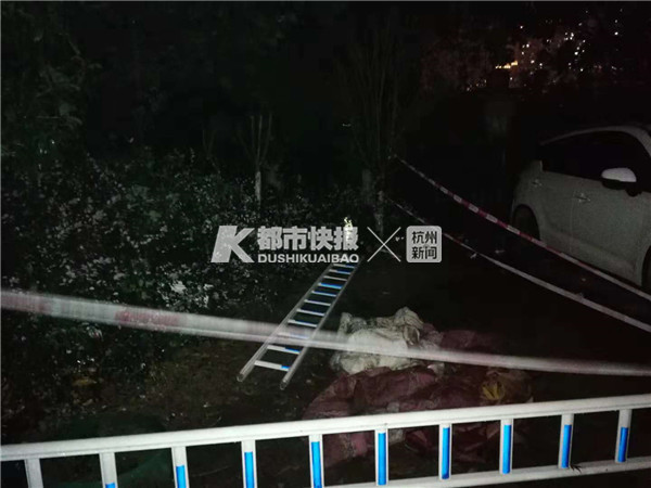 梦境迷雾，解析梦见怀孕的姐姐意外死亡的深层含义与心理启示