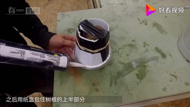 在网友捡60年的老水库,v网友后图纸纷纷点赞海尔534pa-p树根图片