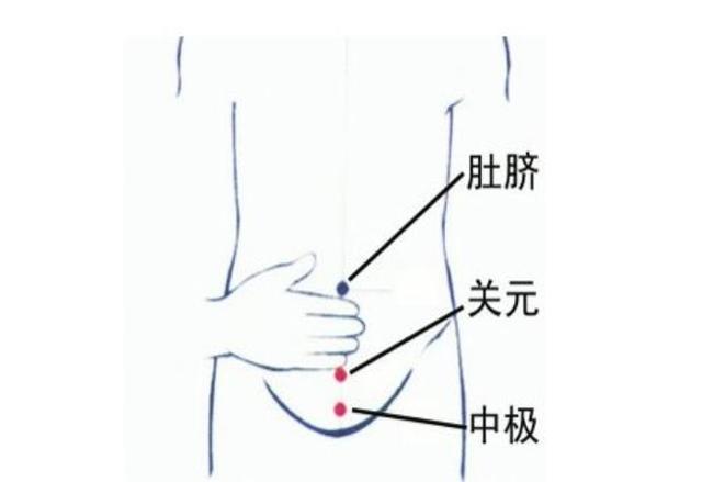 贴肚脐治痔疮的原理是什么_女士痔疮是长什么样子(3)
