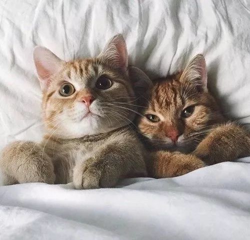 情绪迟钝者:为什么我的情绪反应特别慢?