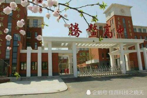 腾鳌人口情况_鞍山腾鳌机场平面图