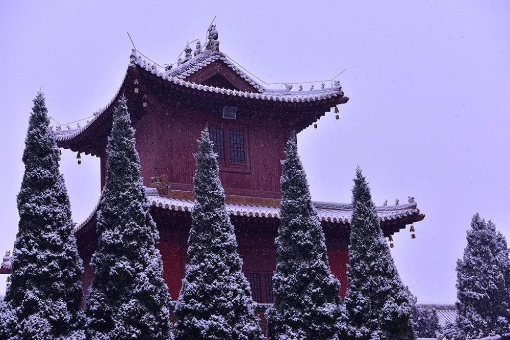 进入了懈怠状态,应该怎么对治?