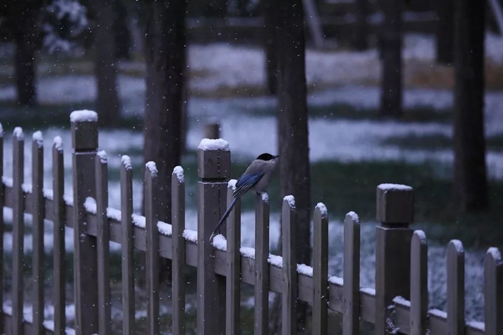 进入了懈怠状态,应该怎么对治?