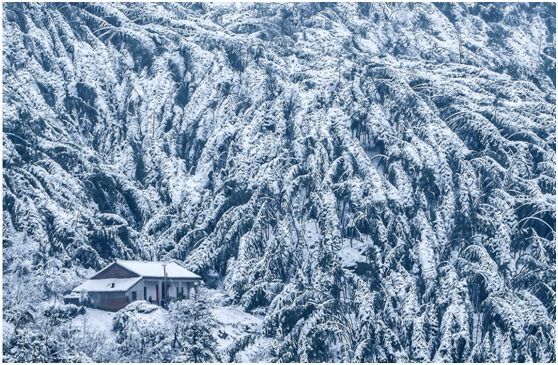 白马尖雪景风光潘先波 高先祥 摄