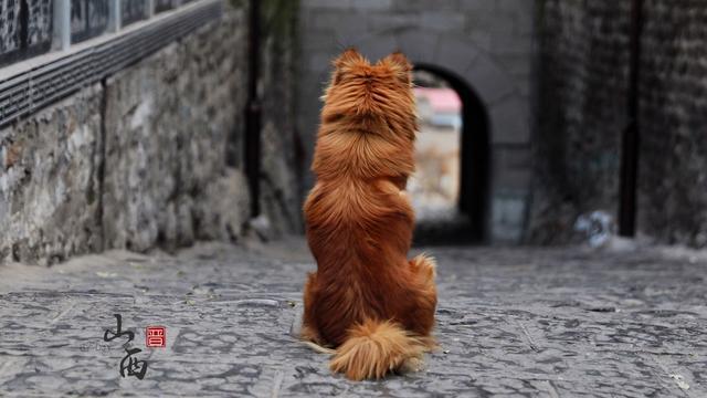 一夫当关万夫莫开这个成语出处 原来在山西这