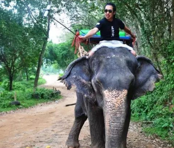 表面风光无限的旅游体验师,虽月收入高达6万,