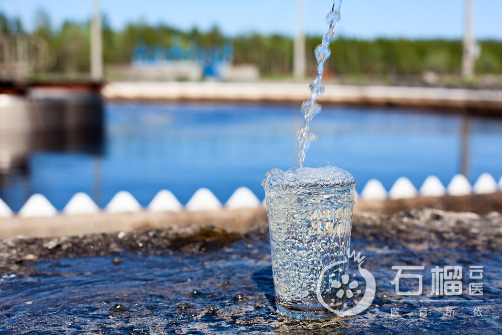 降尿酸必备!风湿科医生:痛风病人每日喝水最佳