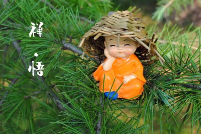 佛说:去留由天,一切随缘!