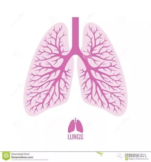那么这个男子咳出来的"支气管树血块"又是个什么东西?