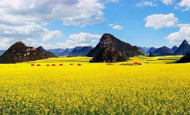 汉寿年GDP_汉寿县城2030年规划图