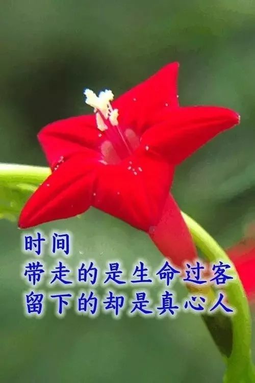 今天5月19日,珍惜生命中,每一个有缘的朋友.